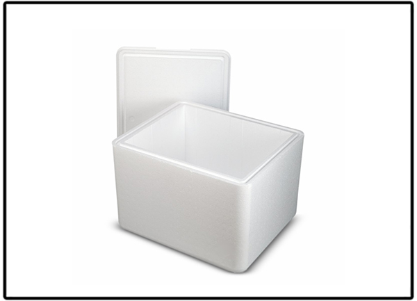 EPS Box Manufacturer in Pune